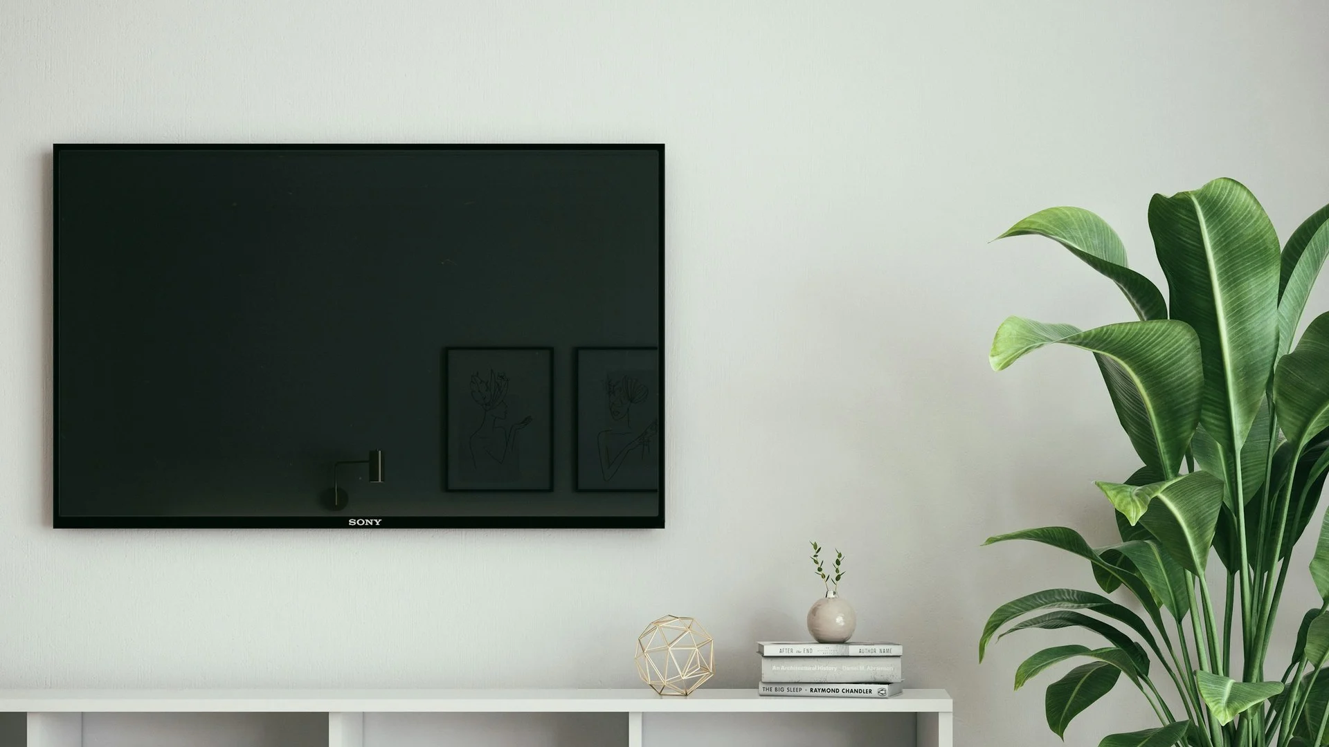 TV terpasang di dinding kamar dengan tanaman hijau dan rak minimalis